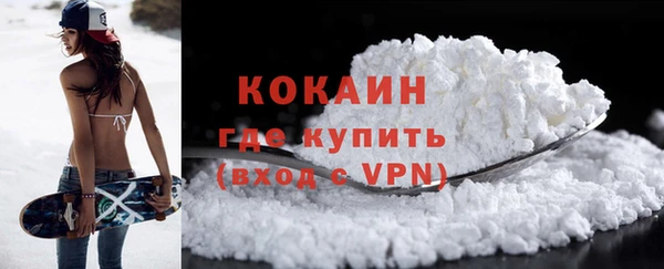 тгк Алзамай