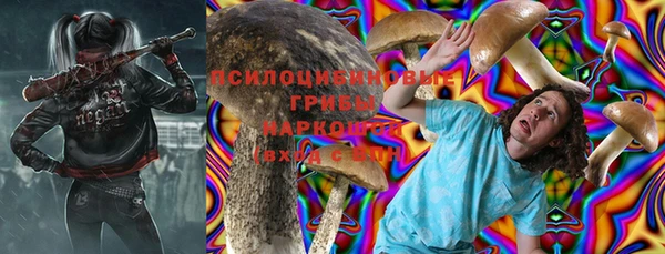 дживик Алексин