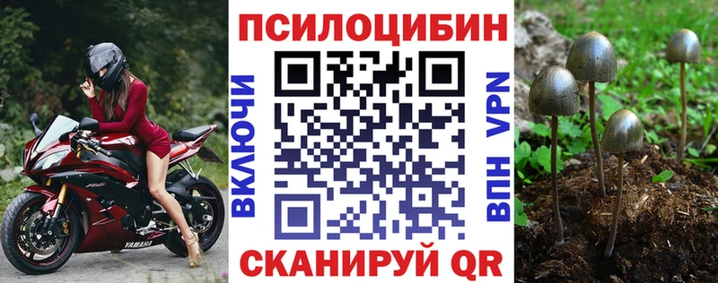 Галлюциногенные грибы мицелий  как найти закладки  Истра 